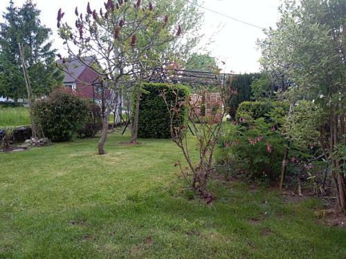 Apartman Ris Gorski Kotar Crni Lug