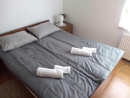 Apartman Ris Gorski Kotar Crni Lug