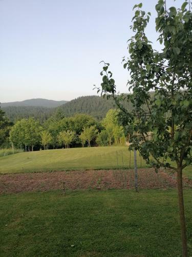 Apartman Ris Gorski Kotar Crni Lug