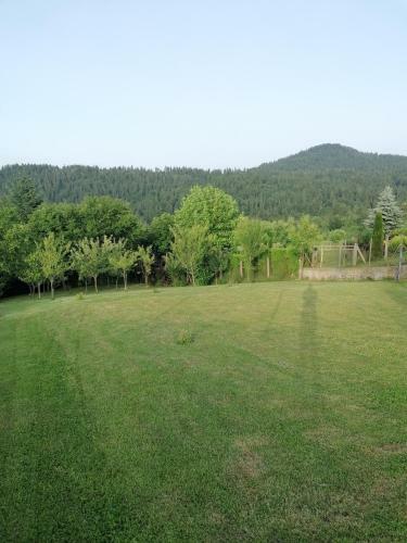 Apartman Ris Gorski Kotar Crni Lug