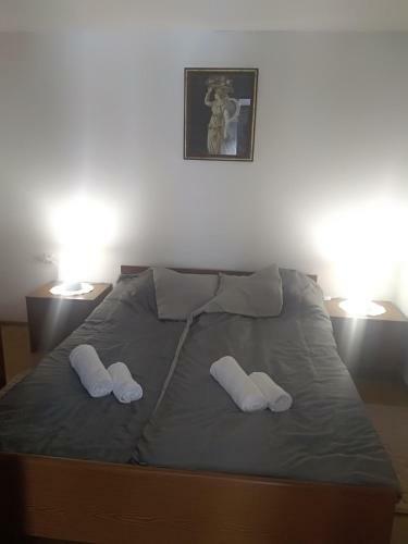 Apartman Ris Gorski Kotar Crni Lug