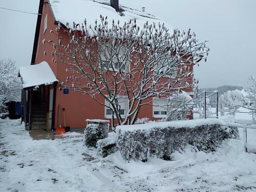 Apartman Ris Gorski Kotar Crni Lug