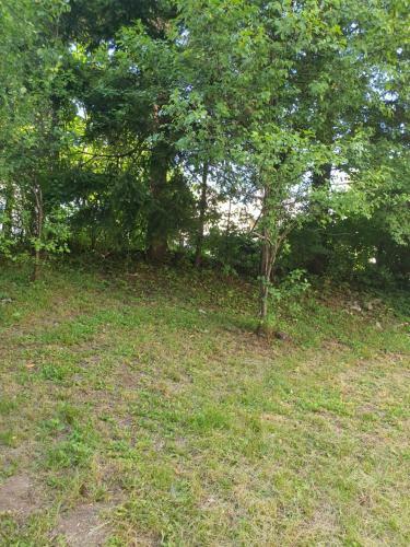 Apartman Runolist
