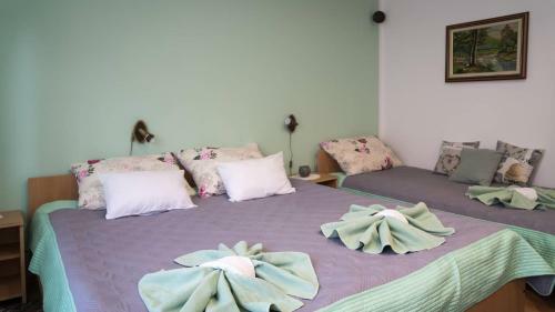 Apartman Sara - Delnice