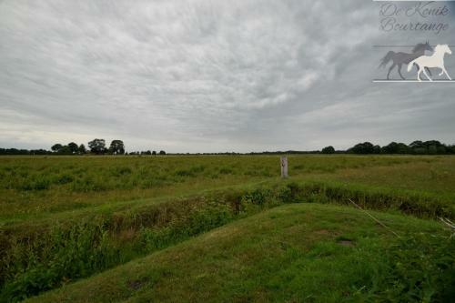 B&B De Konik Bourtange