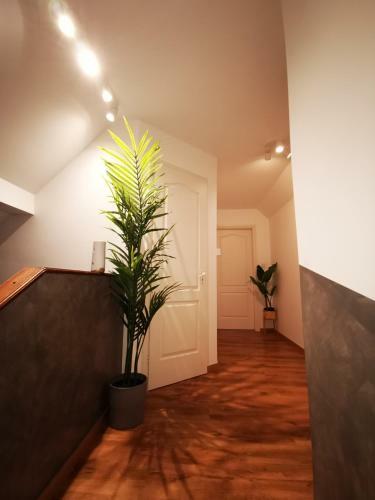 Apartamento Pintes 38 A