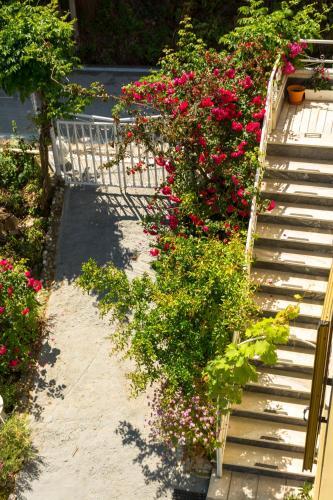 Apartamento Cosy Home Kalavria