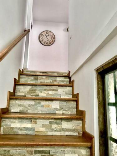Hostal Pensiunea Turistica Valea Mierii