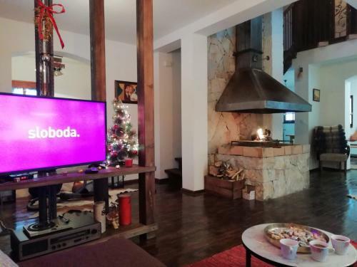 Villa Ljubi?in Konak