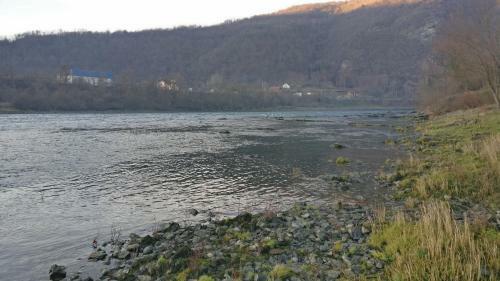 Drina's Heart