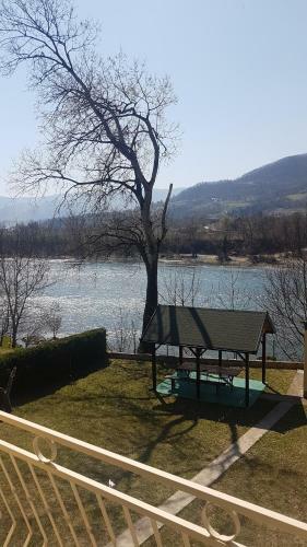Drina's Heart