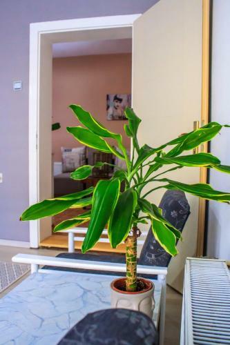 Bb Downtown Apartment