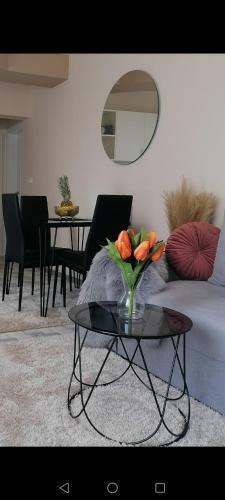 Apartman Savi?
