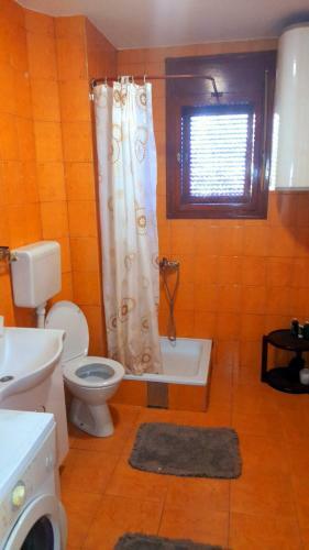 Apartman Tadi? Bajina Ba?ta