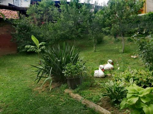 Apartments Ivanovic Bb
