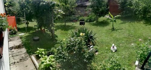Apartments Ivanovic Bb