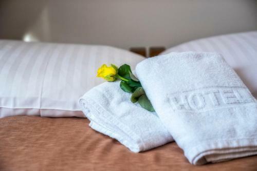 Bed & Breakfast Krywa?