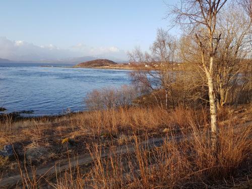 Camp Saltstraumen-elveg�rd