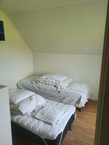 Camp Saltstraumen-elveg�rd