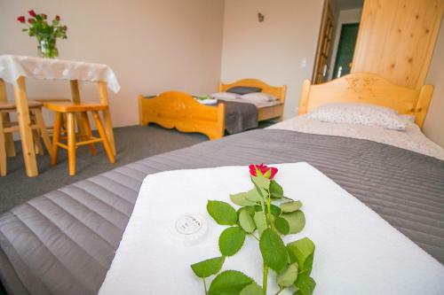 Apartamento Willa Nad Potokiem