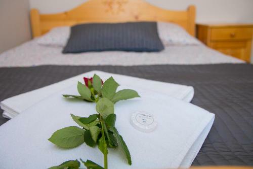Apartamento Willa Nad Potokiem
