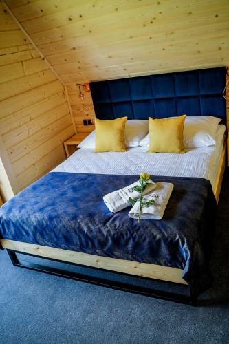 Domki U Czernik�w