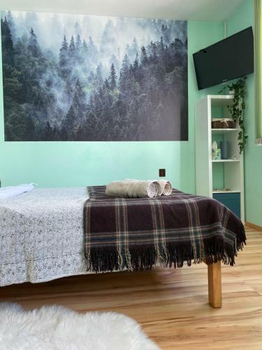 Bed & Breakfast Pokoje Go?cinne Pod Jaworem