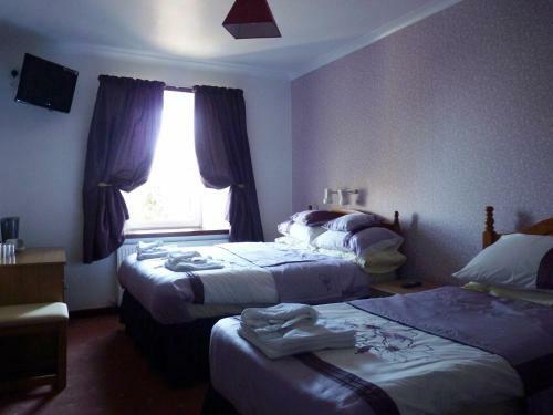 The Brown Trout Hotel