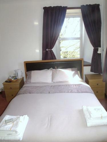 The Brown Trout Hotel