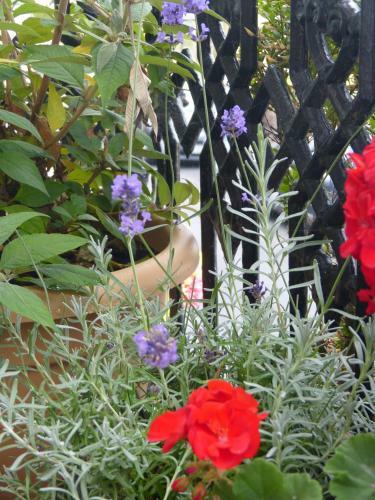Bed & Breakfast Hotel Iverna