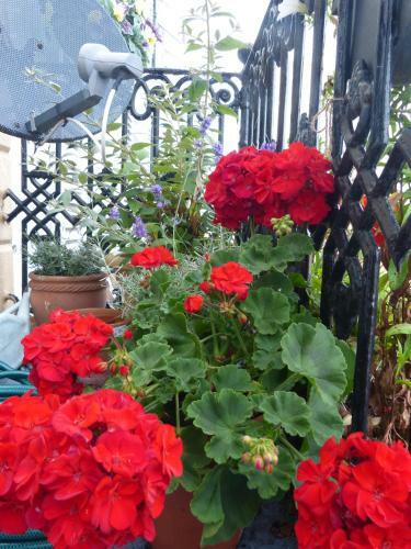 Bed & Breakfast Hotel Iverna