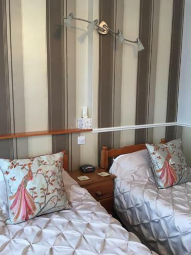 Hostal The Cherry Tree Guest House