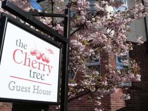 Hostal The Cherry Tree Guest House