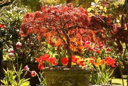 Bed & Breakfast Ocklynge Manor