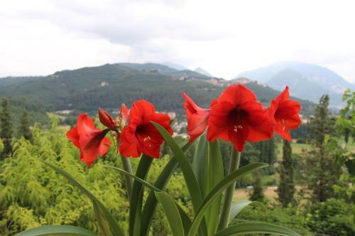 Apartamento Il Castello Sul Lago