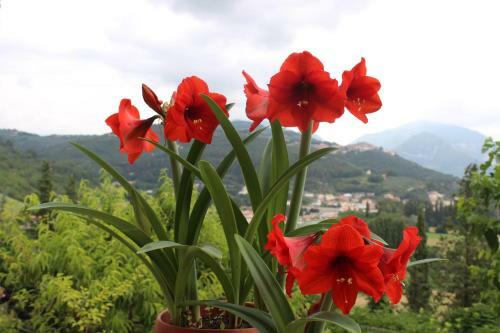 Apartamento Il Castello Sul Lago
