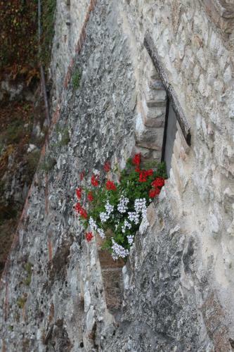 Apartamento Il Castello Sul Lago