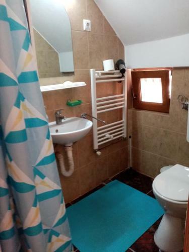 Hostal Pensiunea Oana