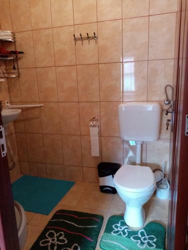 Hostal Pensiunea Oana