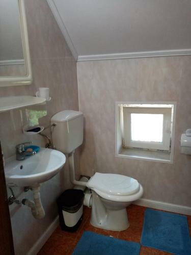 Hostal Pensiunea Oana