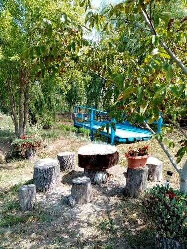 Hostal Pensiunea Oana
