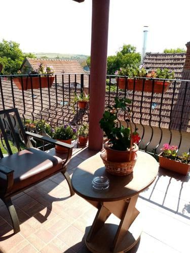 Hostal Pensiunea Oana