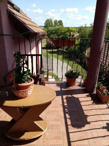 Hostal Pensiunea Oana