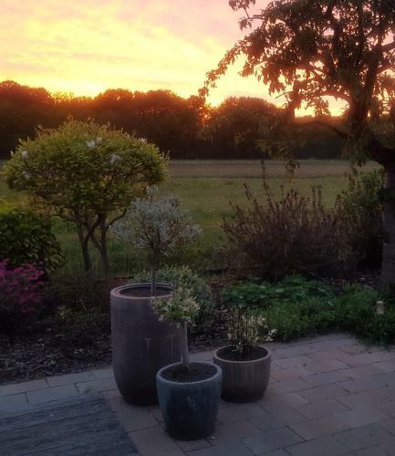 Anja's House