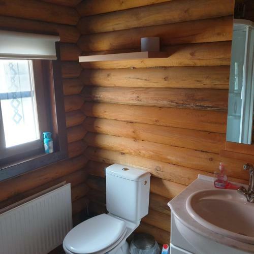 Finse Woning Op Camping De Tulpenweide