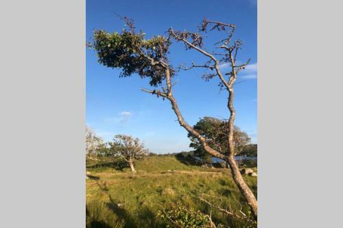Spacious Seaside Apartment 3km From Clifden