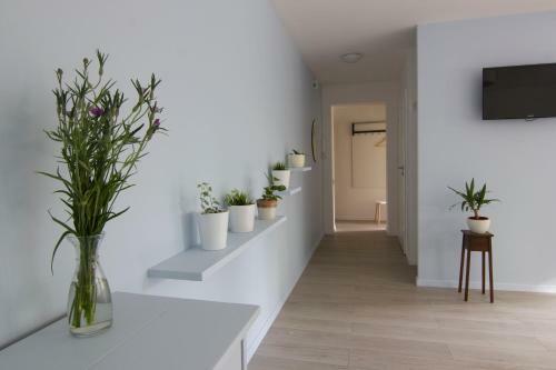 Blue City Apartment