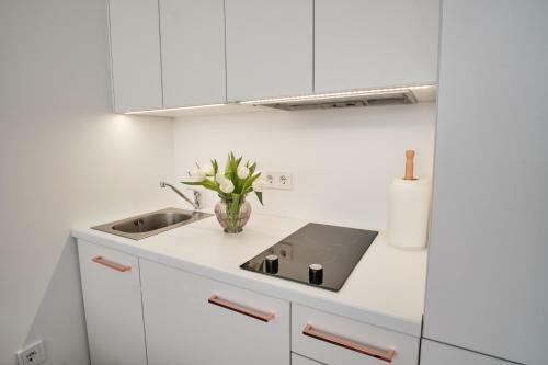 Apartamento Cosy Studio Near Akropolis And ?vyturio Arena