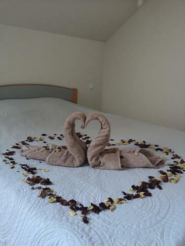 Apartamentai Su Dziakuzi