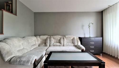 Green View Apartment